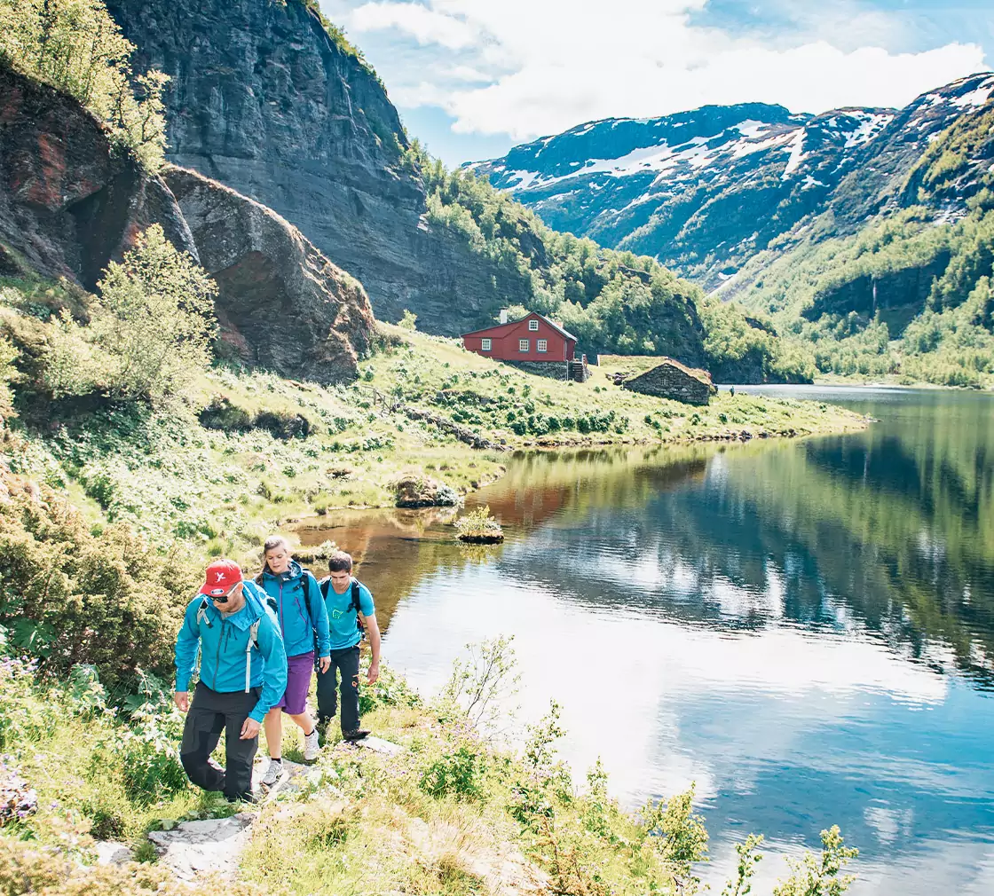 So wyld - So Norway